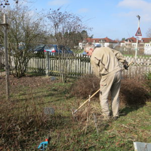 Gartenputz 2017