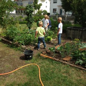 Gartlers Bienenschwarm 2017